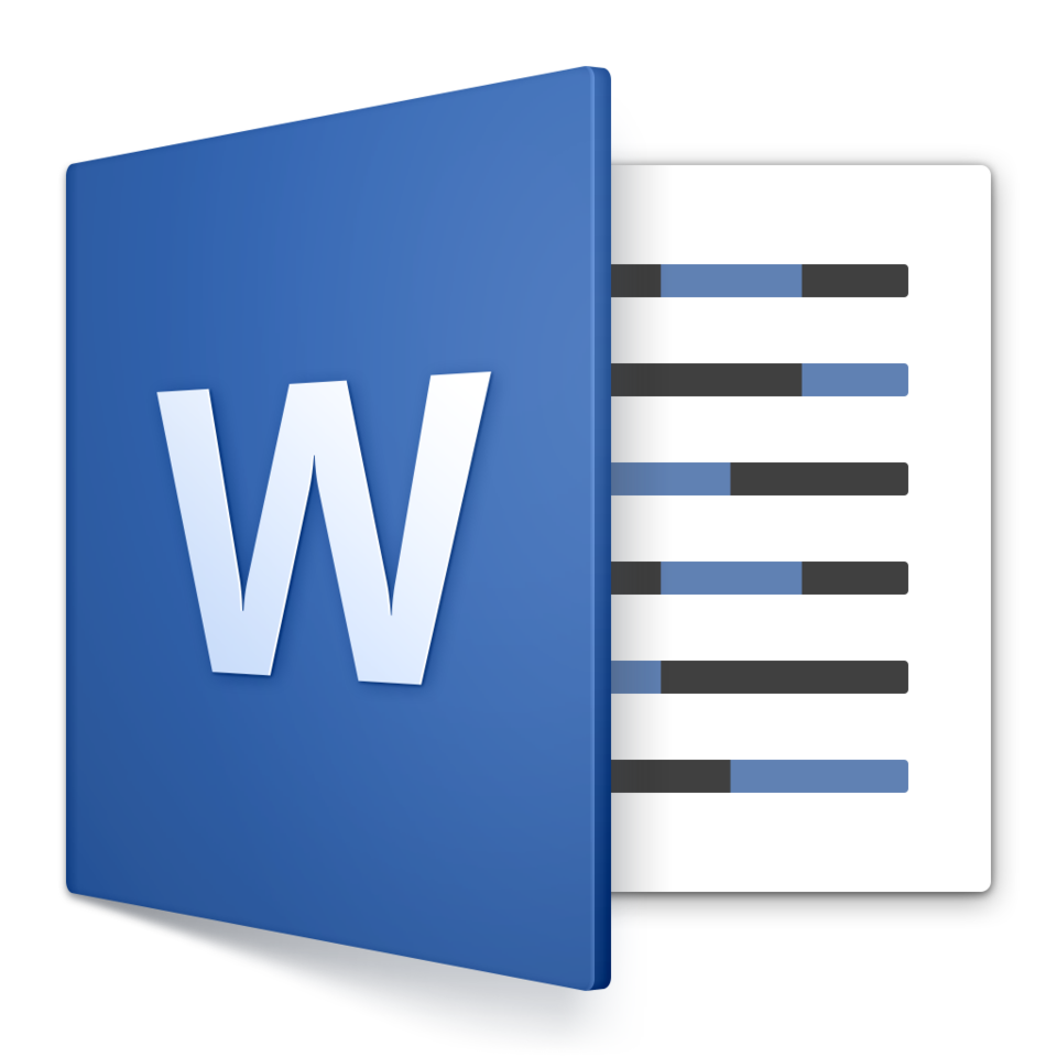  MS Word   